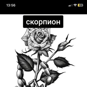 Slavaonisko