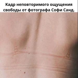 Сохранить